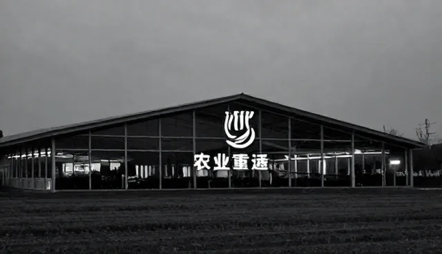 营销效果提升中的品牌视觉设计误区解析